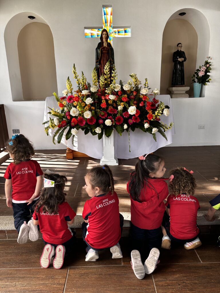 Formación católica